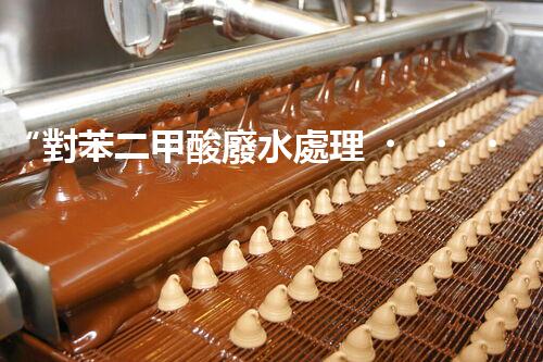 “對苯二甲酸廢水處理，綠色創(chuàng)新引領(lǐng)環(huán)保新篇章”
